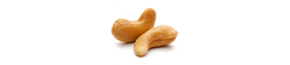 Cashew