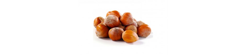 Hazelnut